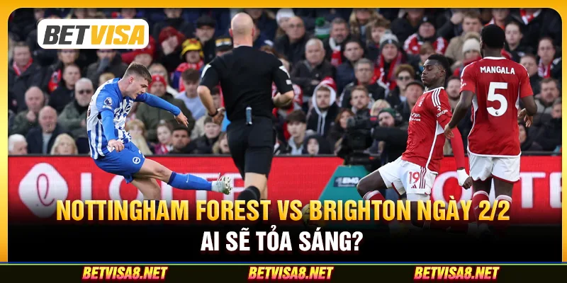 Nottingham Forest vs Brighton ngày 2/2 - Ai sẽ tỏa sáng?